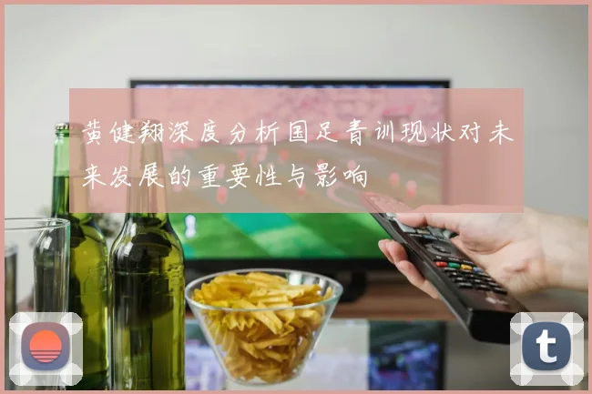 黄健翔深度分析国足青训现状对未来发展的重要性与影响